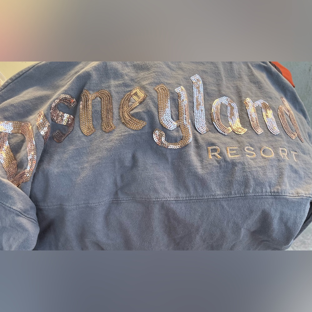 Disneyland jersey top